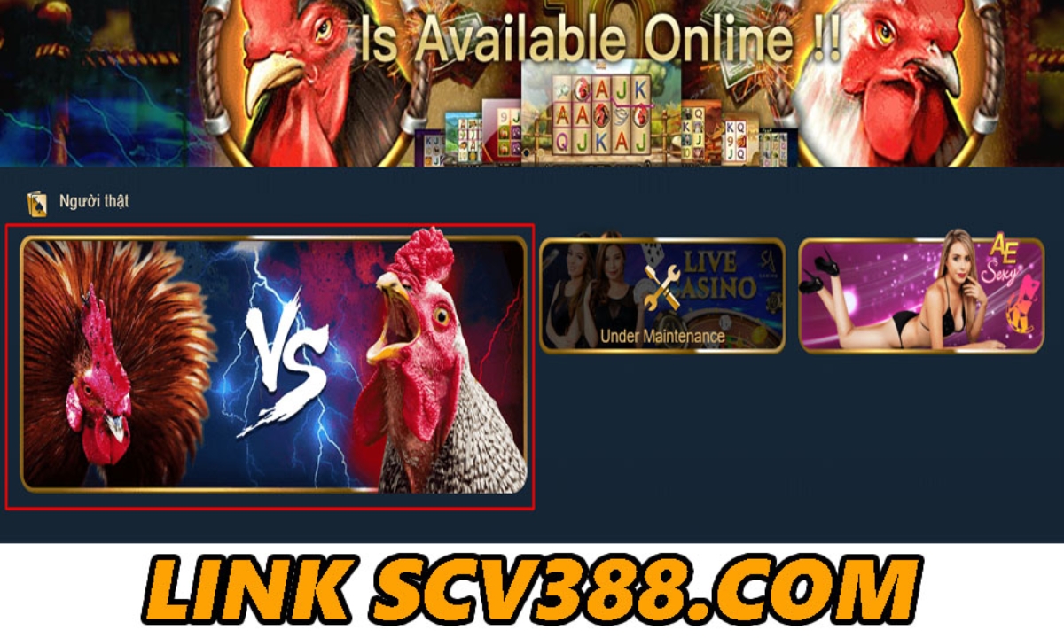 Link vào SCV388.com mới cập nhật